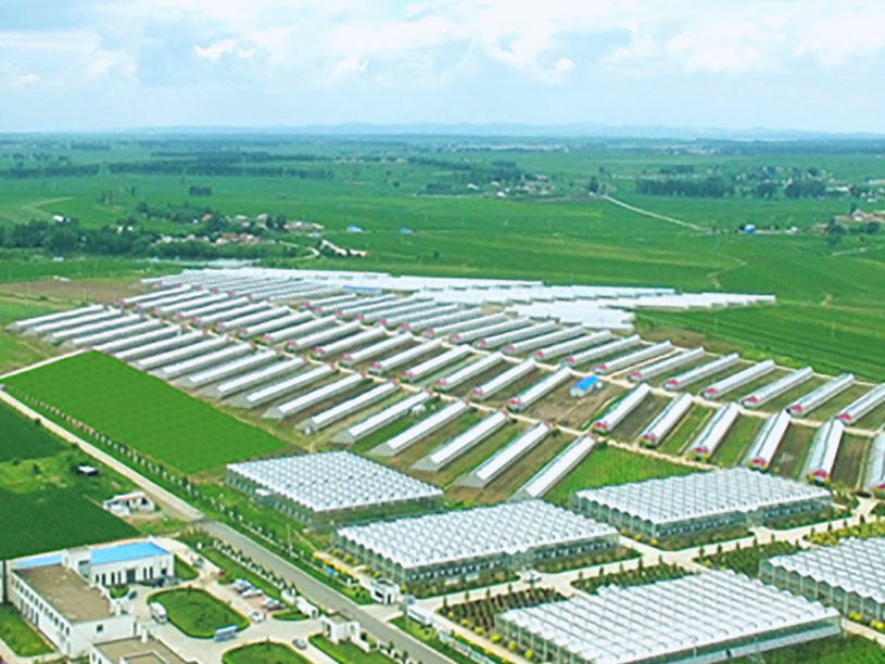 瓦力游戏| 首页 -瓦力出品,必属精品