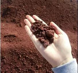 瓦力游戏| 首页 -瓦力出品,必属精品