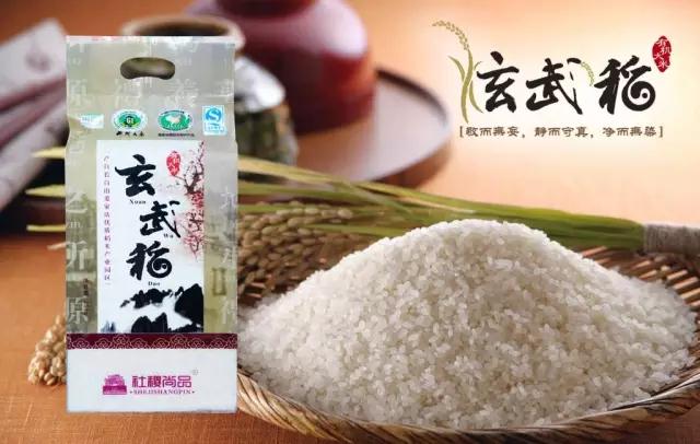 瓦力游戏| 首页 -瓦力出品,必属精品