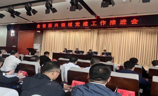 3.全省新兴领域党建工作推动会现场_副本.jpg