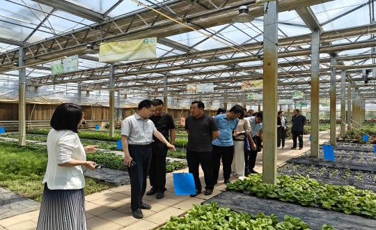 2024年6月27日，中国绿色食品发展中心有关辅导光临农业总公司调查调研_副本.jpg